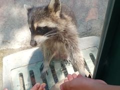 -泉州海丝野生动物世界