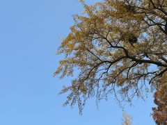 -青岛崂山太清宫