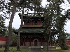 -磬锤峰森林公园
