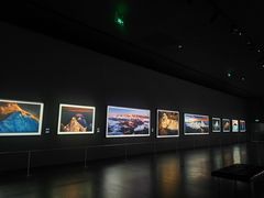 -罗红摄影艺术馆