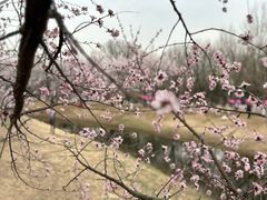 -万通商城