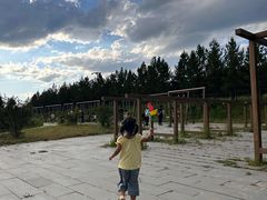 -塞罕坝国家级自然保护区