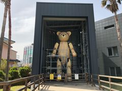 -济州岛泰迪熊博物馆