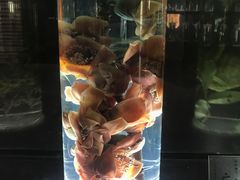 -广东中医药博物馆
