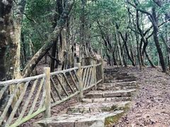 -梧桐山风景名胜区