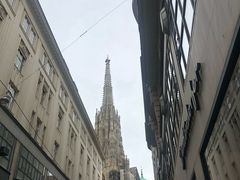-斯蒂芬主教座堂(Stephansdom)