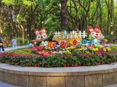 -上海共青森林公园