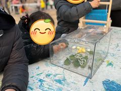 -红黄蓝成长中心(海淀上地店)