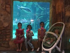 -华夏文旅海洋公园