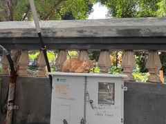 -鼓浪屿钢琴博物馆