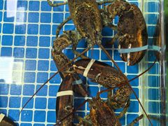 -霞涌市场海鲜摆卖区