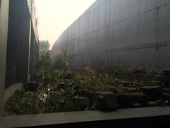 -中国湿地博物馆