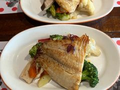 -TOMATITO(无限极荟店)