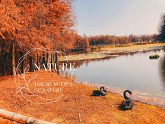 -厦门园林博览苑