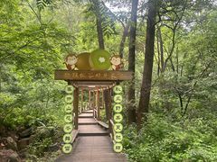 -大岭沟猕猴桃谷风景区