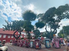 -马六甲鸡场街