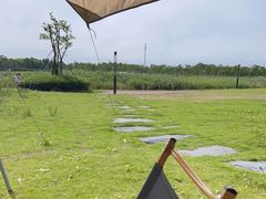 -春花秋色城市公园