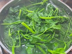 时令蔬菜-攀枝花·任德琼·盐边羊肉米线