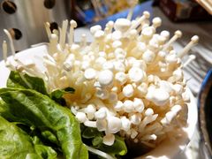 金针菇-钢管厂歆瑞源油卤串串香(春熙路太古里店)