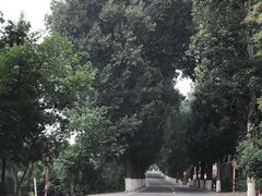 -白草畔自然风景区