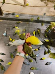 -酷嗒动物文化乐园(cutezoo西溪乐天城店)