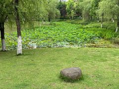 -沐仙湖湿地公园