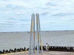 -上海滨江森林公园