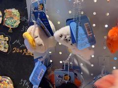-连鹭海鲜·海肠捞饭·海胆饭(星海店)