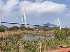 -芒洲湿地公园