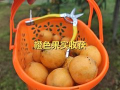-嬉乐湾休闲旅游区