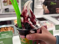 -Salud撒露欧洲冻酸奶(五道口购物中心店)