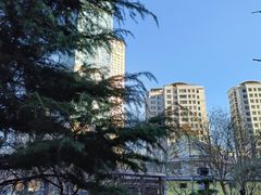 -天津市和平区西宁道清真寺