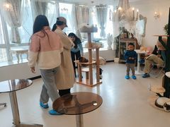 -共舞时光猫咖·狗咖(新街口店)