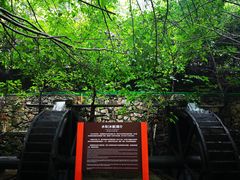 -四会奇石河风景区