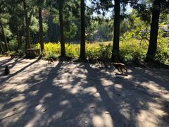 -重庆雨台山风景区
