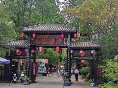 -合肥滨湖国家森林公园