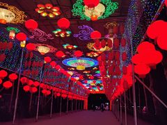 -淄博花灯齐彩城