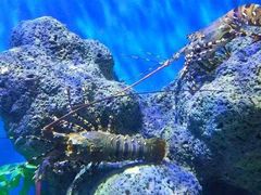 -石林冰雪海洋世界