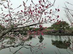 -无锡蠡湖国家湿地公园-蠡园