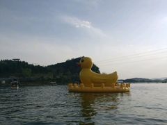 -荣德灶台鱼(圣泉寺店)