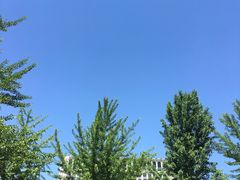 -东北大学(南湖校区)