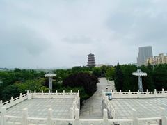 -永定河休闲森林公园