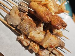 -臻炙大舍烤串(天龙家园店)