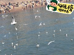 -青岛海滨风景区
