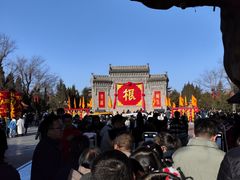 -大槐树寻根祭祖园