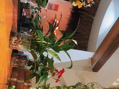 -茶花妹子云南餐厅(传媒大学店)