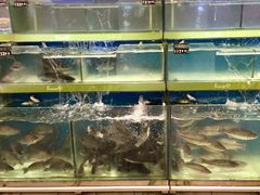 -永辉超市(凯德·天府店)