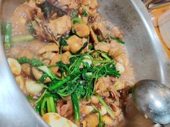 -九道菜有鸡鱼头(石鼓路店)