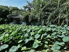 -莲湖公园