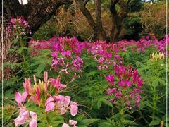 -名花谷生态庄园